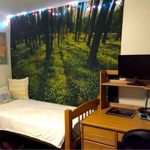 Urban outfitters forest tapestry